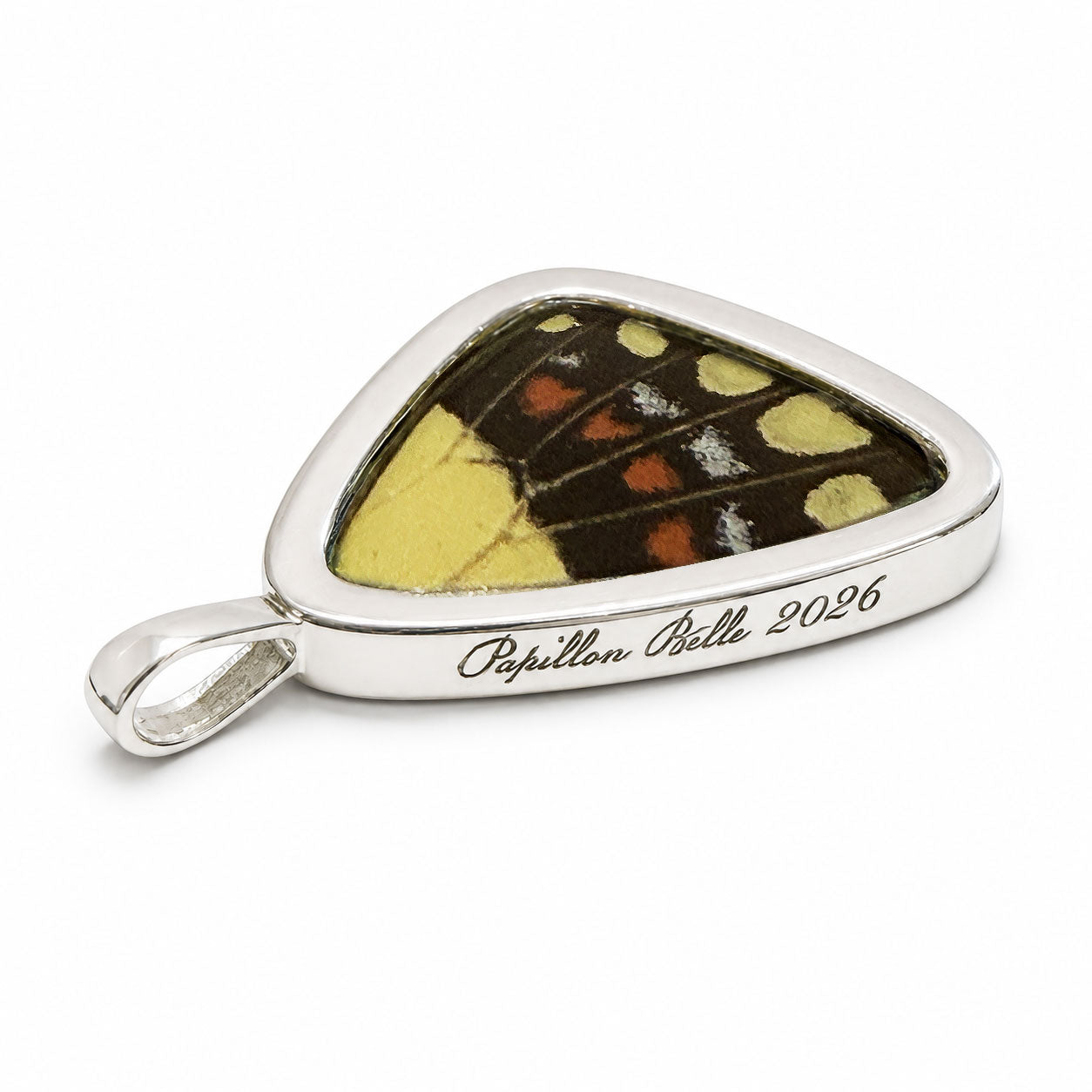 Papilio Torquatus Torquatus Small Hind Wing Pendant