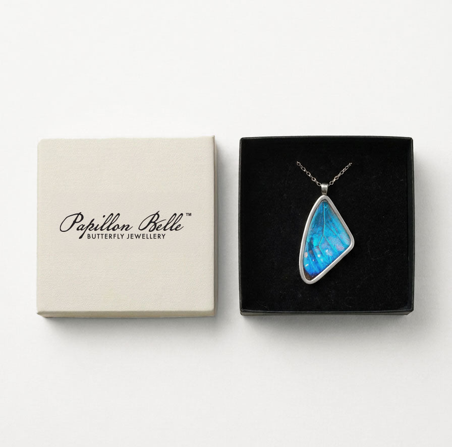 Morpho Zephyritis Single Pendant