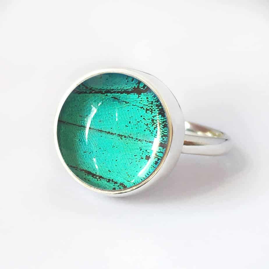 Papilio Lorquinianus Albertisi Cabochon Ring