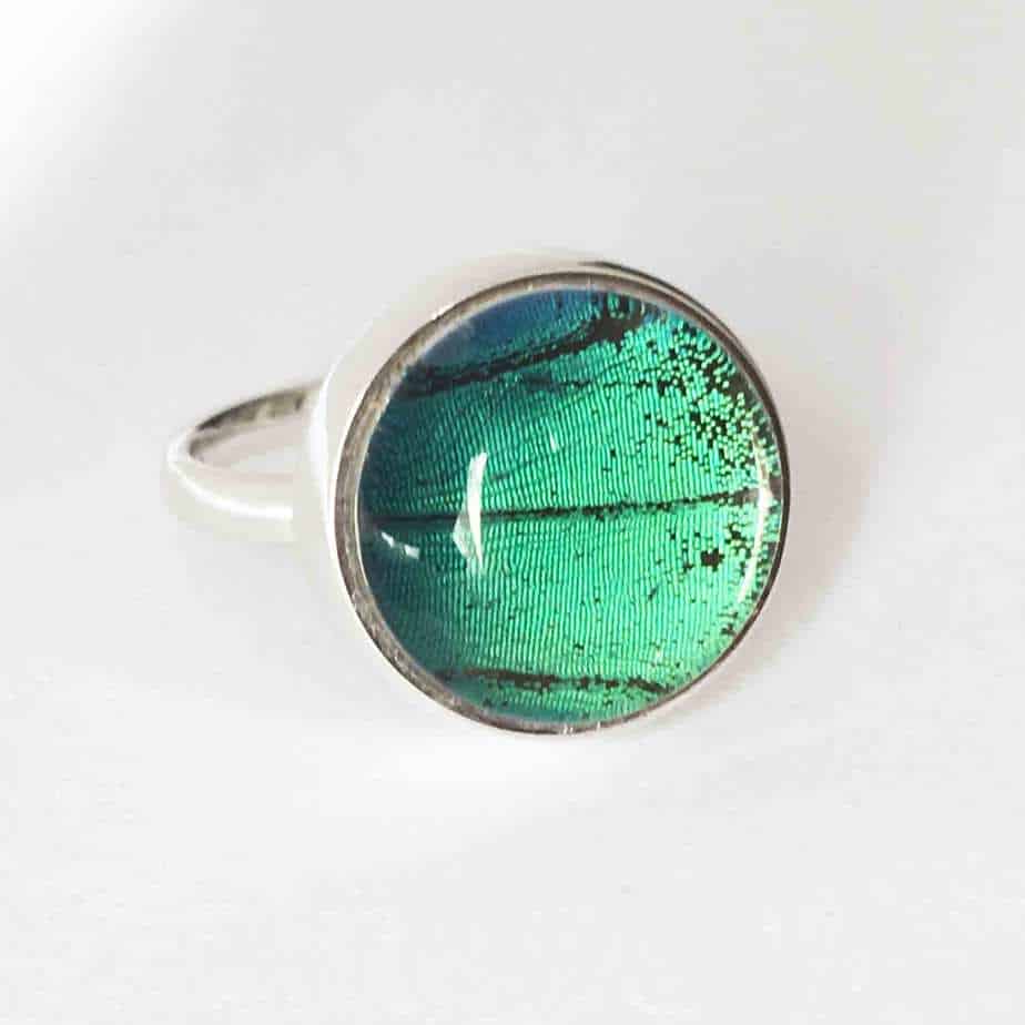 Papilio Lorquinianus Albertisi Cabochon Ring