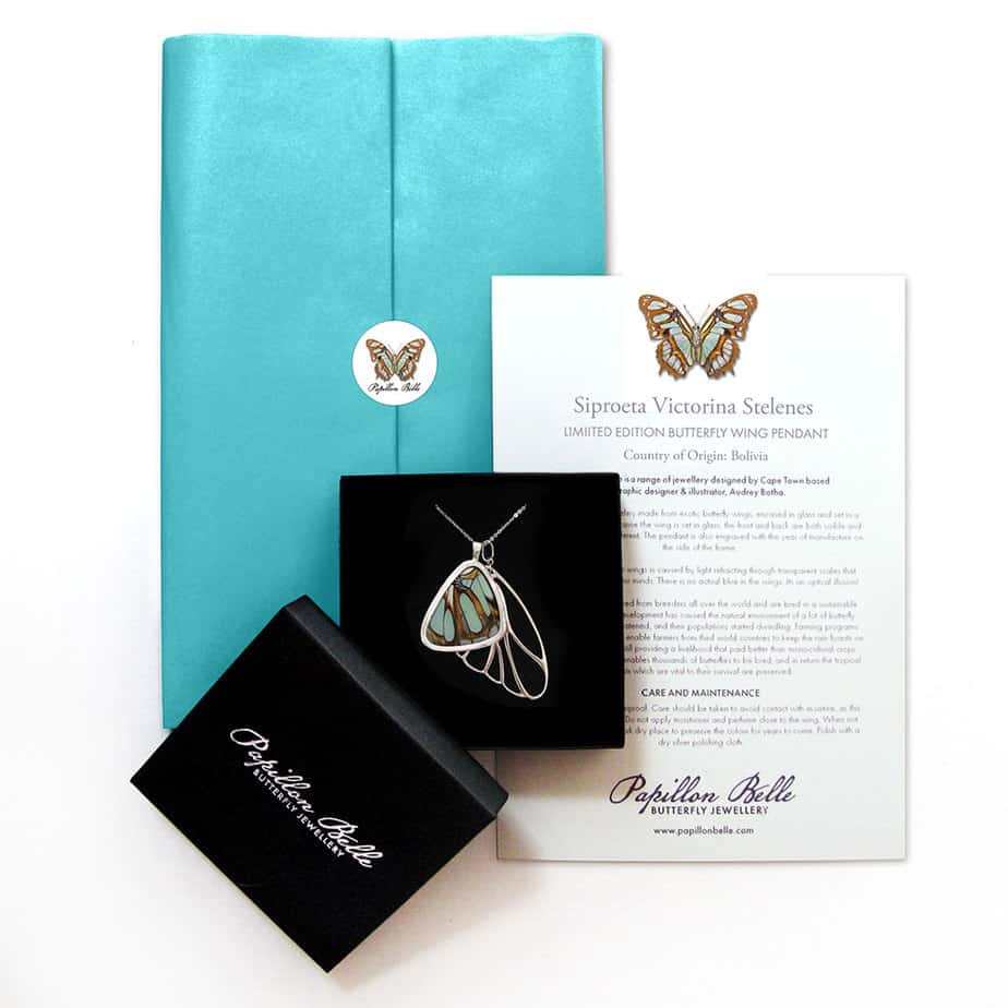 LTD Edition Siproeta Victorina Stelenes Cluster Top Wing