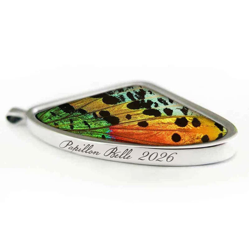 Urania Chrysiridia Rhipheus Hind Wing Single Pendant