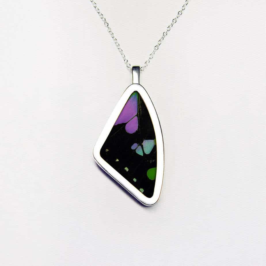 Papillon Belle butterfly wing pendant of the Graphium Weiskei butterfly
