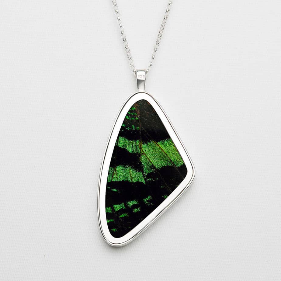 Signature real butterfly wing pendants