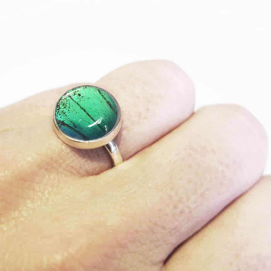 Papilio Lorquinianus Albertisi Cabochon Ring