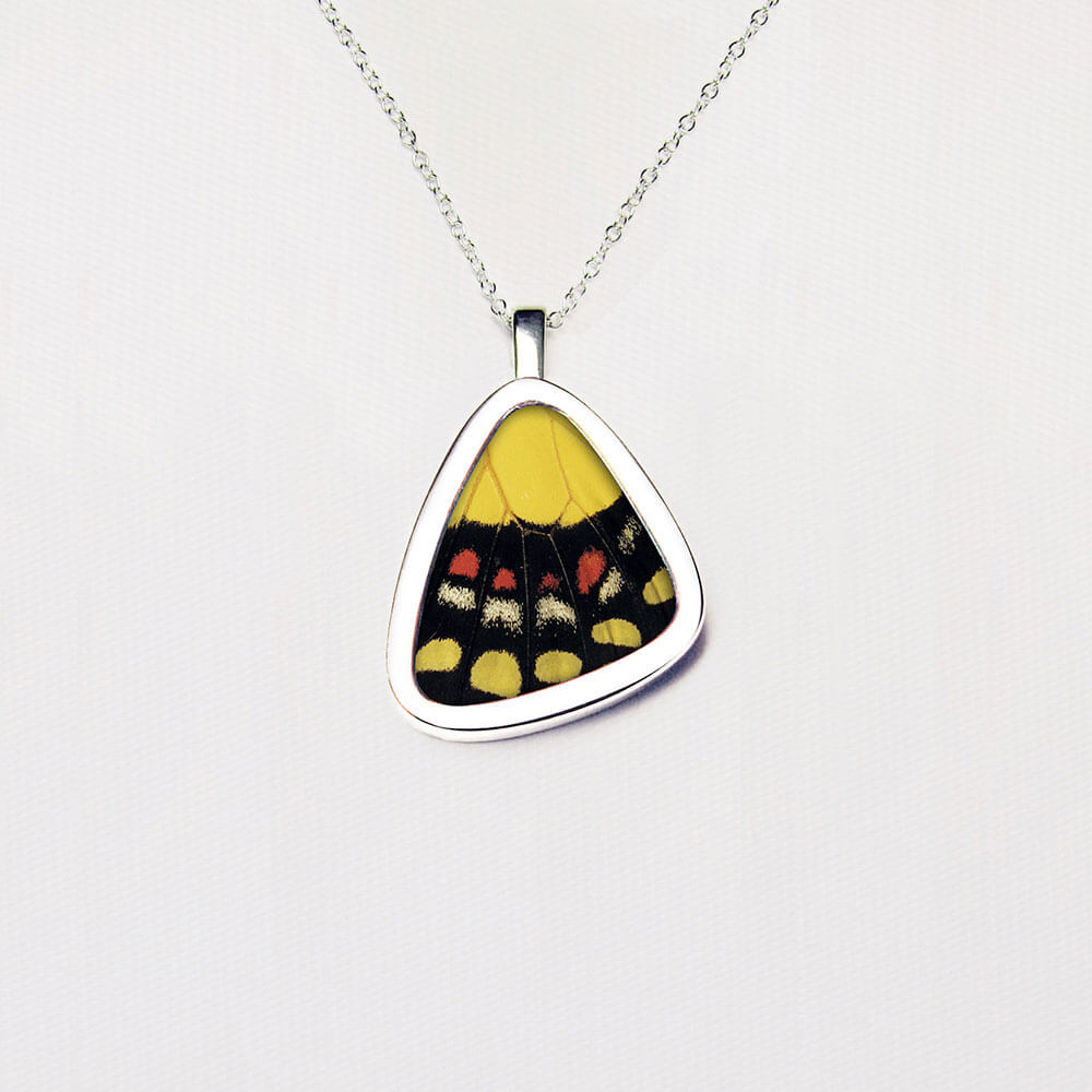 Papilio Torquatus Torquatus Small Hind Wing Pendant