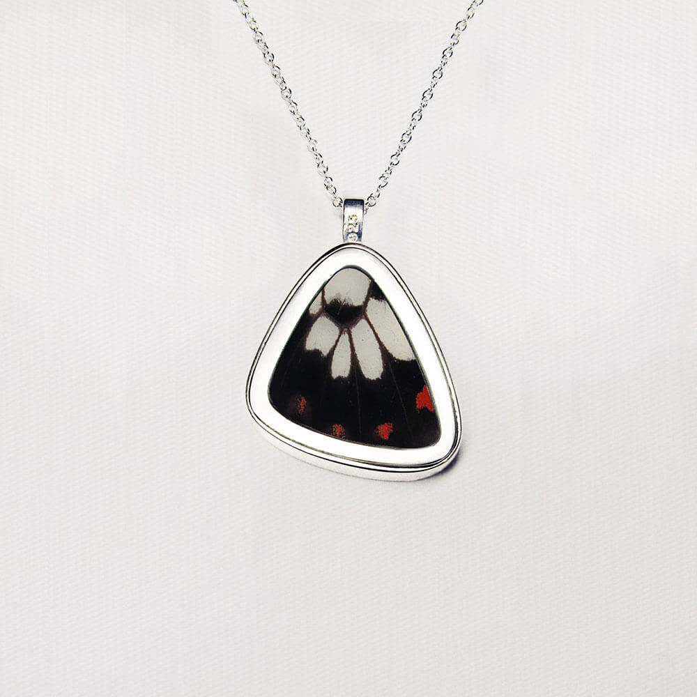 Cressida Insularis Small Hind Wing Pendant