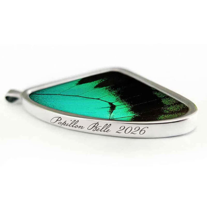 Signature real butterfly wing pendants