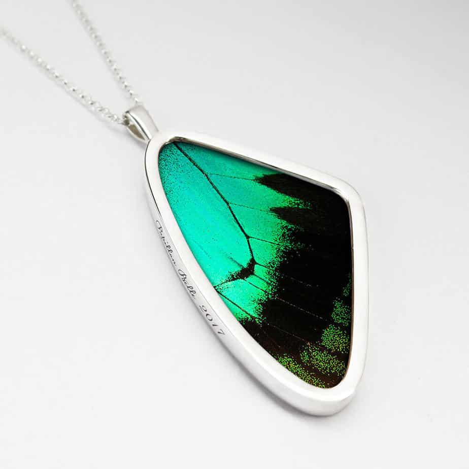 Signature real butterfly wing pendants